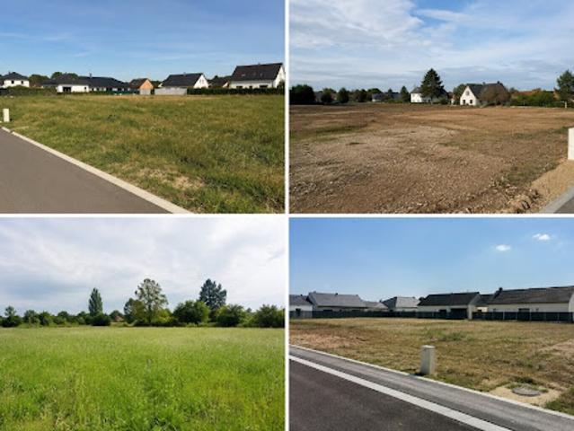 Vente Terrain 560 m2 Sains en Gohelle
