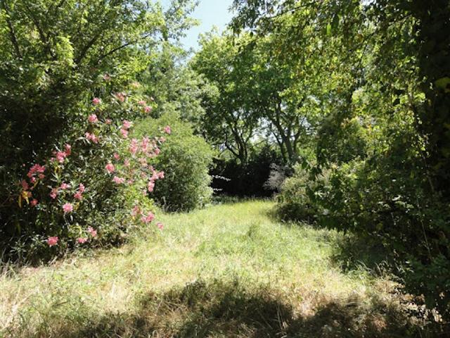 Vente Terrain 5620 m2 Saissac
