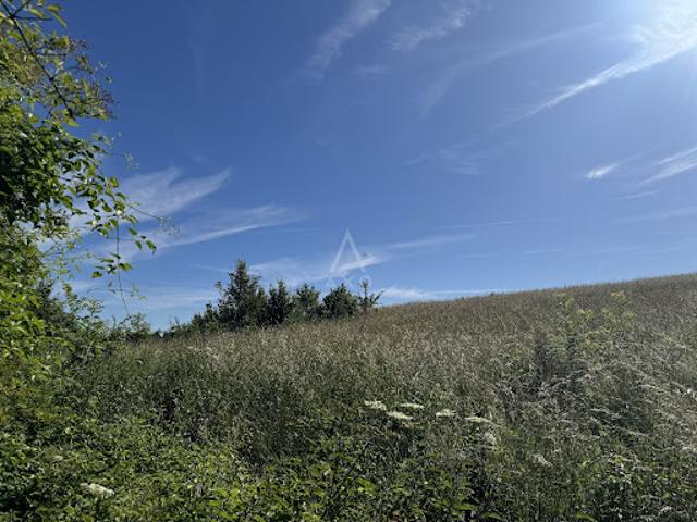 Vente Terrain 5628 m2 Douchy