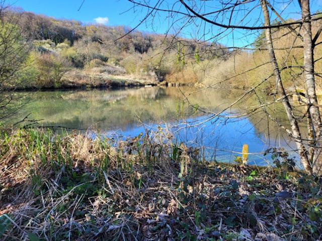 Vente Terrain 56301 m2 Bologne