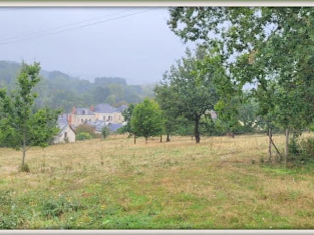 Vente Terrain 5630 m2 Saint Germain d'Arcé