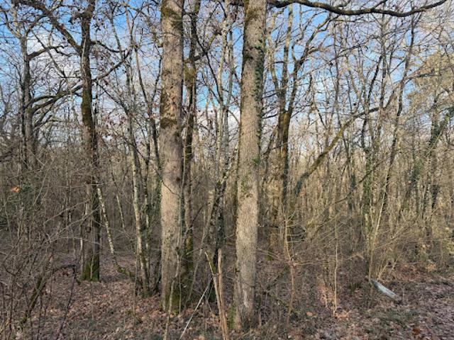 Vente Terrain 5633 m2 Pujols