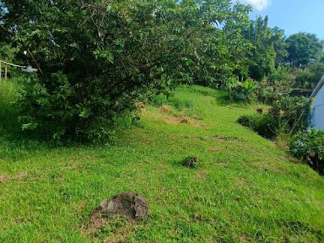 Vente Terrain 567 m2 Sainte luce