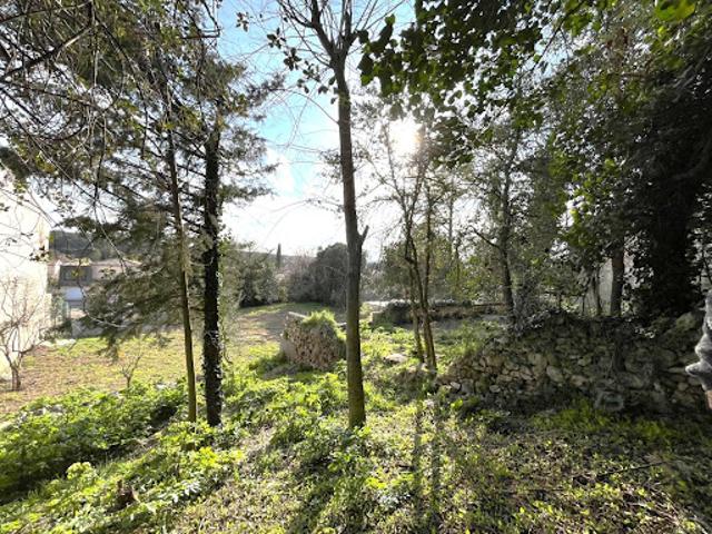 Vente Terrain 0 m2 Clapiers