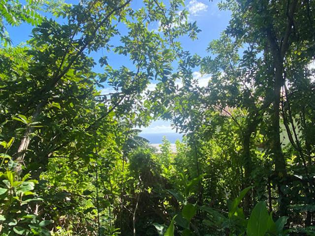 Vente Terrain 566 m2 Saint Denis