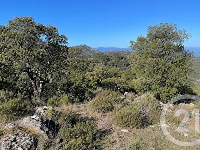Vente Terrain 56853 m2 Scolca