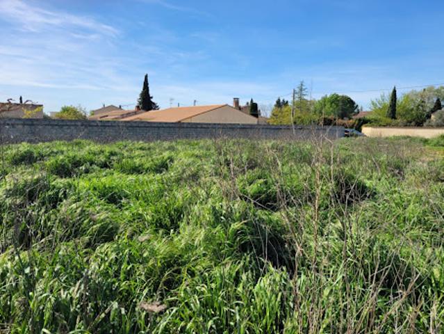 Vente Terrain 568 m2 Aubignan