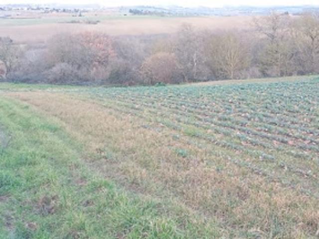 Vente Terrain 568 m2 Montbrun Lauragais