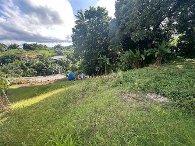 Vente Terrain 5695 m2 Gros morne