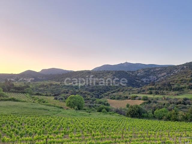Vente Terrain 569 m2 Montpeyroux