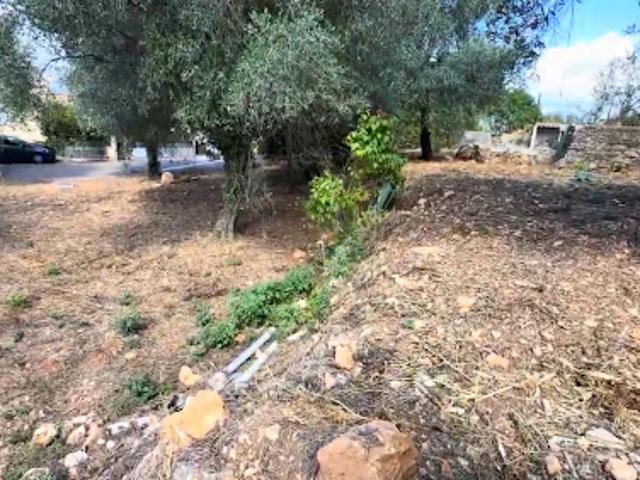 Vente Terrain 573 m2 La trinite