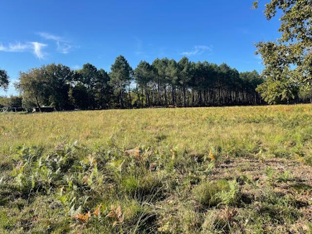 Vente Terrain 573 m2 Le Porge