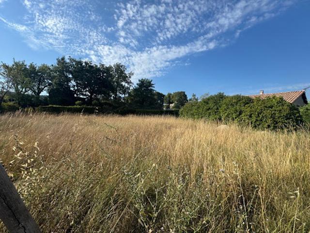Vente Terrain 571 m2 Vogue