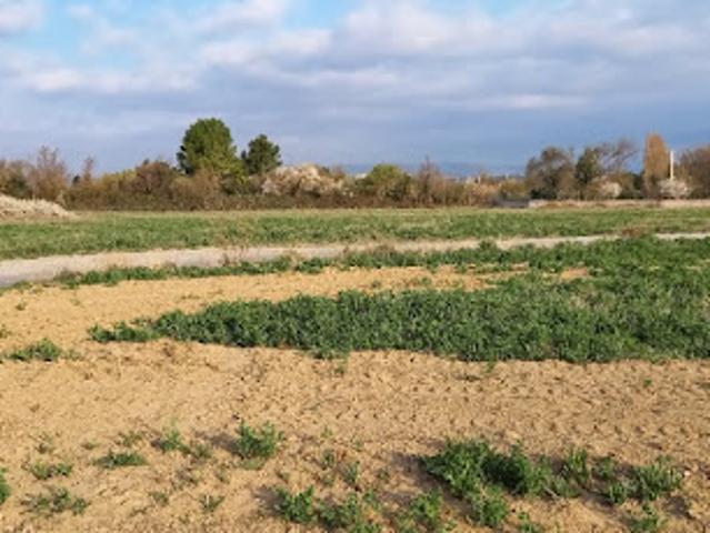 Vente Terrain 571 m2 Canet