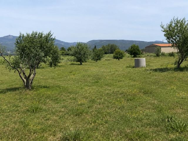 Vente Terrain 5725 m2 Saint André de Sangonis