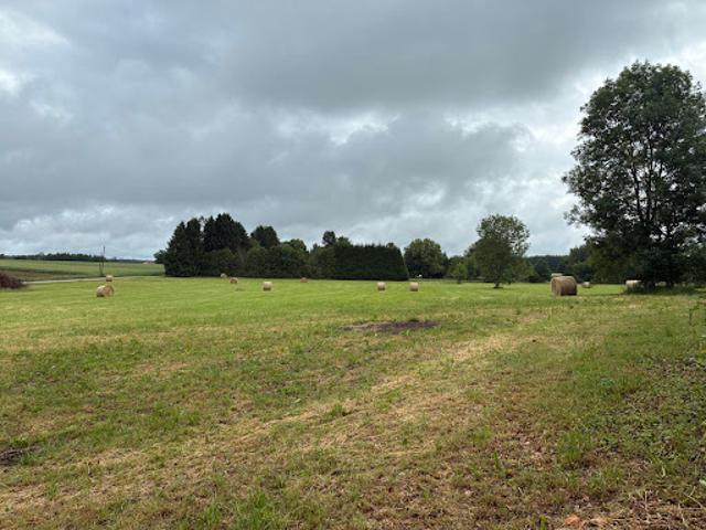 Vente Terrain 5750 m2 Plombières les Bains