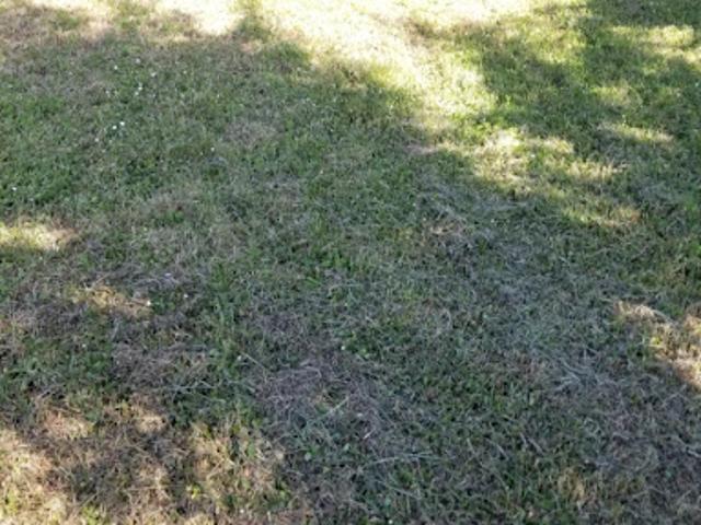 Vente Terrain 575 m2 Madirac
