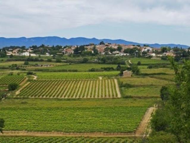 Vente Terrain 575 m2 Pailhes