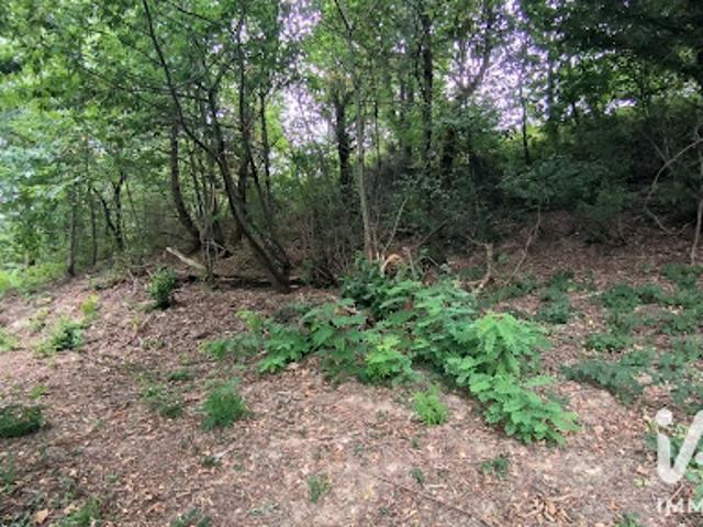 Vente Terrain 5780 m2 Lagor