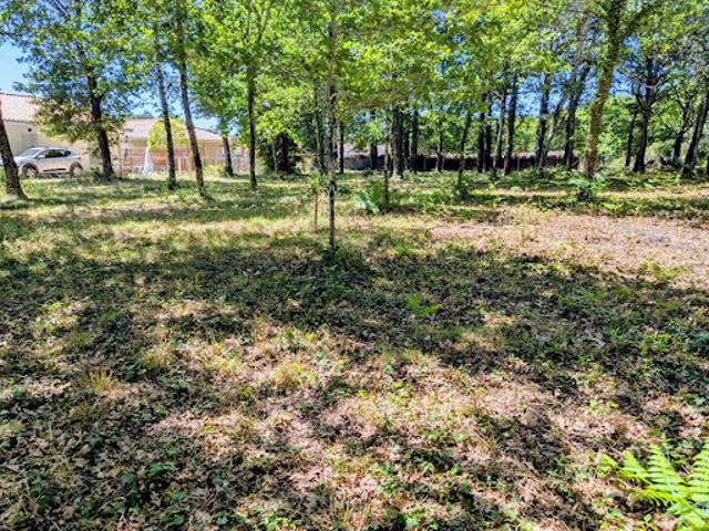 Vente Terrain 578 m2 Belin Béliet