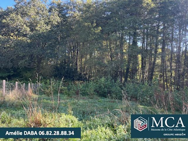 Vente Terrain 578 m2 Saint Martin de Seignanx