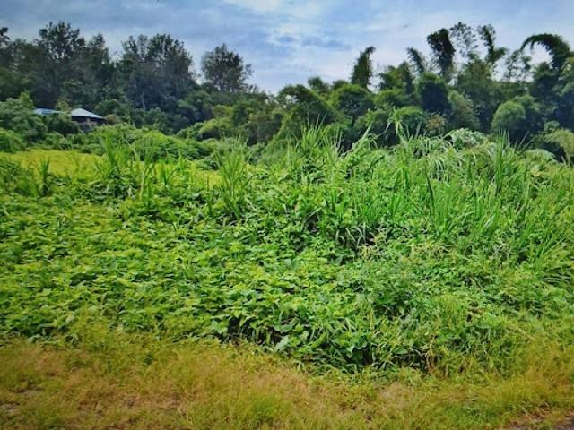 Vente Terrain 579 m2 Le tampon