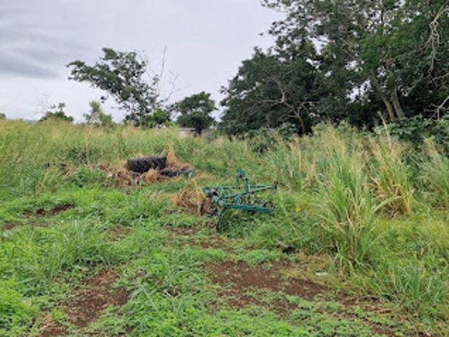 Vente Terrain 580 m2 Sainte Marie
