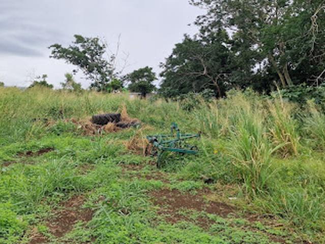 Vente Terrain 580 m2 Sainte Marie