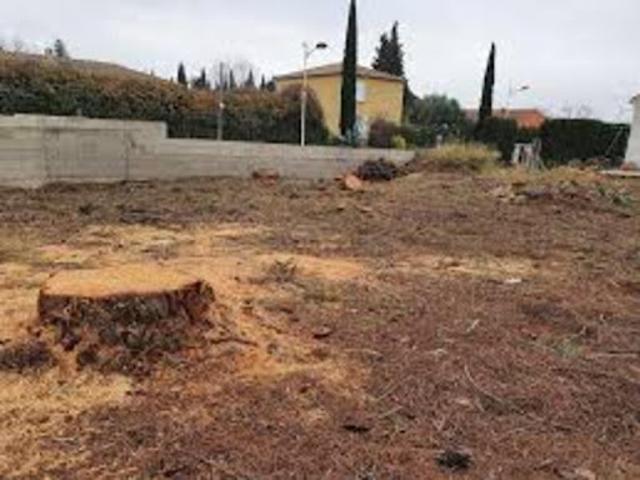 Vente Terrain 584 m2 Cestas