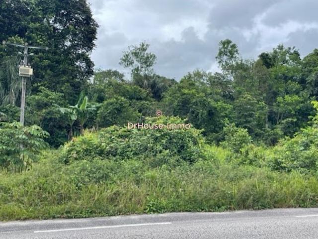 Vente Terrain 58920 m2 Matoury