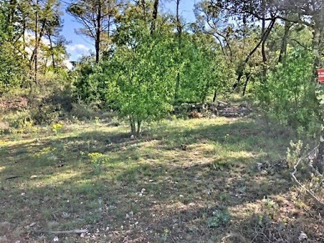 Vente Terrain 5900 m2 Seillans