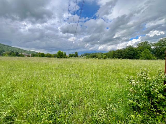 Vente Terrain 590 m2 Corbonod