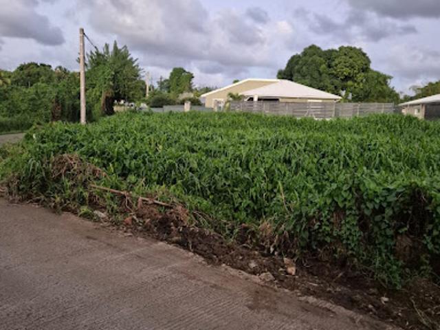 Vente Terrain 590 m2 Le lamentin
