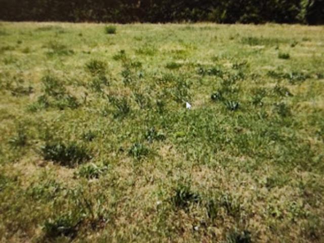 Vente Terrain 590 m2 Surville