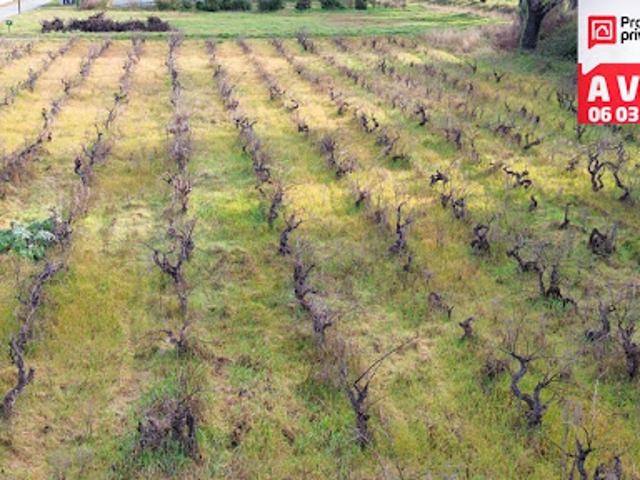 Vente Terrain 591 m2 Sainte Cécile les Vignes