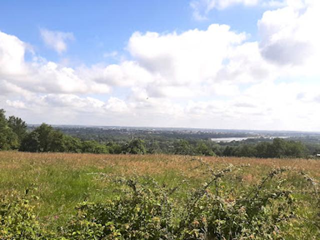 Vente Terrain 597 m2 Drain