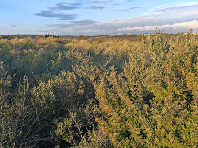 Vente Terrain 5940 m2 La Palme