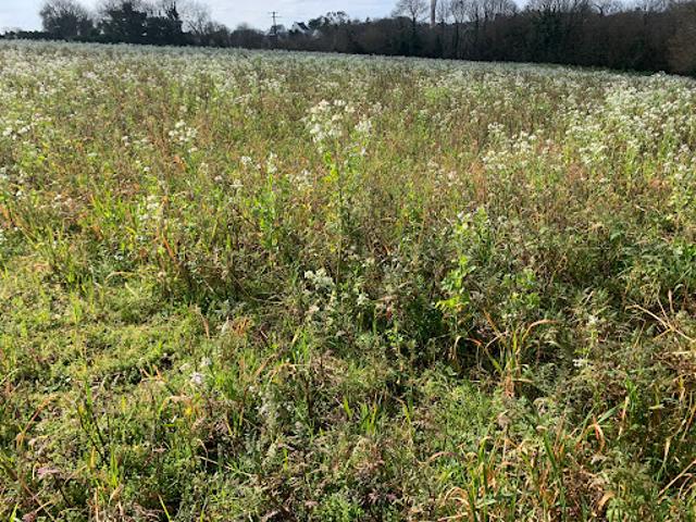 Vente Terrain 596 m2 Sainte Sève