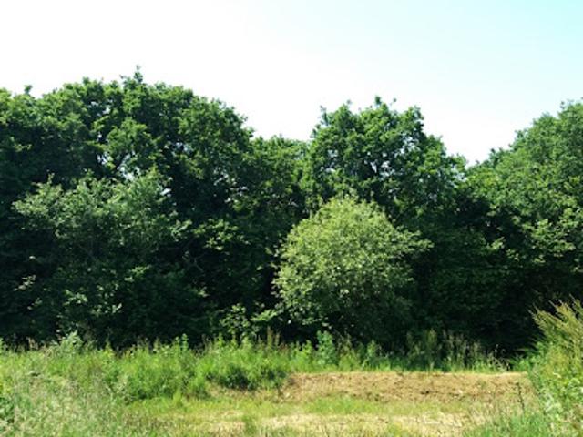 Vente Terrain 598 m2 Erquy