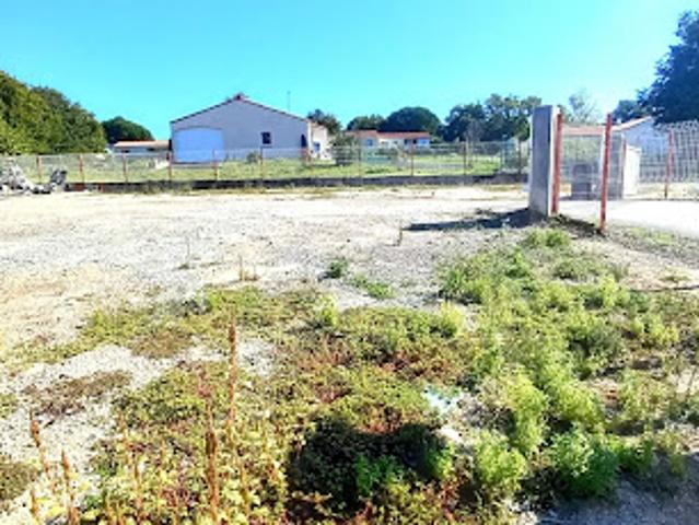 Vente Terrain 598 m2 Poiroux