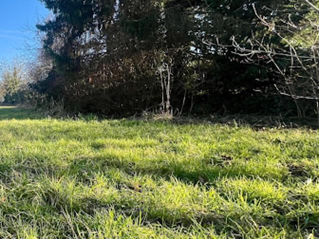 Vente Terrain 599 m2 Muttersholtz