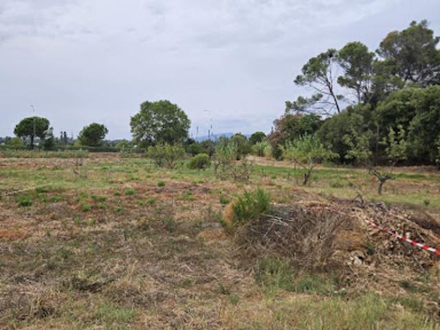 Vente Terrain 503 m2 Frejus