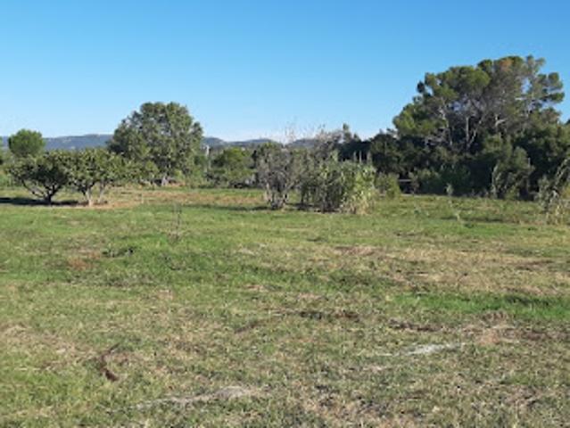 Vente Terrain 503 m2 Frejus