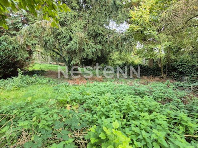 Vente Terrain 503 m2 Palaiseau