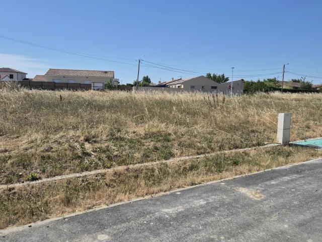 Vente Terrain 503 m²