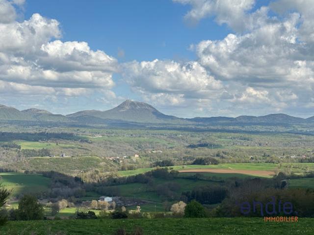 Vente Terrain 50000 m2 Saint Pierre le Chastel