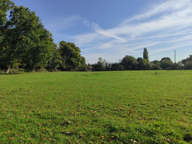 Vente Terrain 5000 m2 Douville en Auge