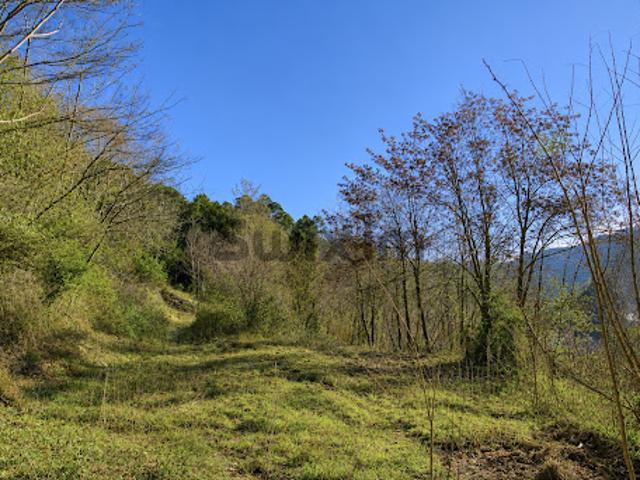 Vente Terrain 5000 m2 Le Collet de Dèze