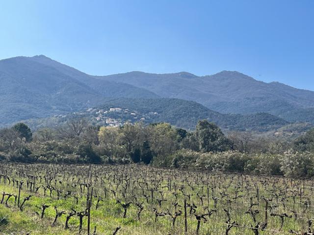 Vente Terrain 5000 m2 Saint Génis des Fontaines