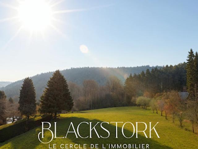 Vente Terrain 5000 m2 Wangenbourg Engenthal